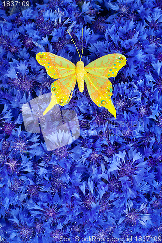 Image of Spring blue cornflower with yellow butterfly
