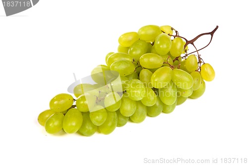 Image of Bunch of Green Grapes laying isolated