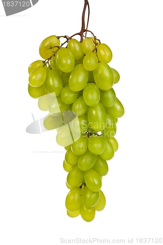 Image of Bunch of Green Grapes laying isolated