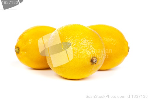 Image of Fresh lemons on white background