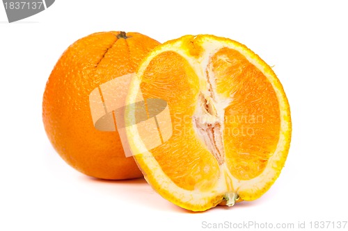 Image of Fresh orange and a half part of orange