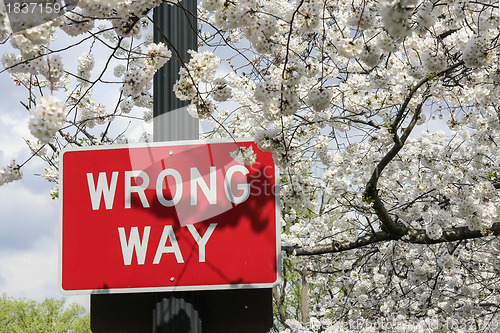 Image of Traffic sign