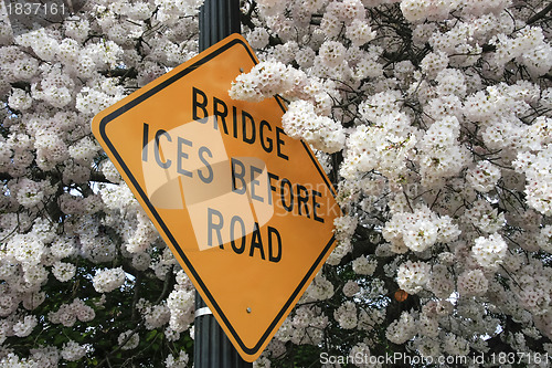 Image of Traffic sign