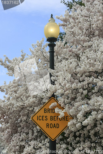 Image of Traffic sign