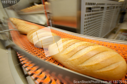 Image of Baked Breads on the production 