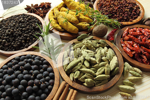 Image of Spices and herbs