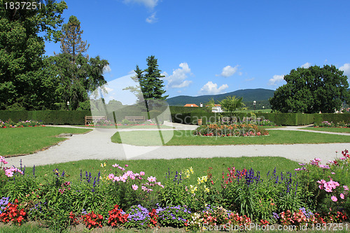 Image of Summer garden