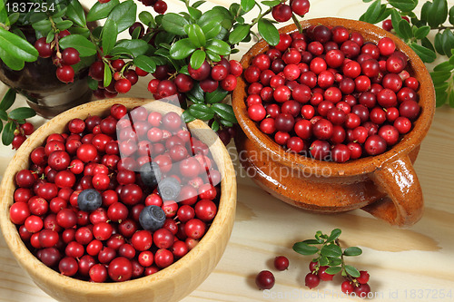 Image of Cranberries