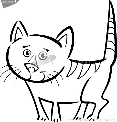 Image of cat or kitten for coloring book