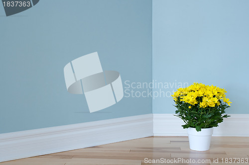 Image of Yellow daisies in white pot decorating a room