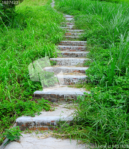 Image of mountain path for hiking