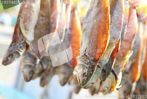 Image of Dried Fish