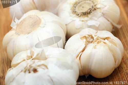 Image of garlic