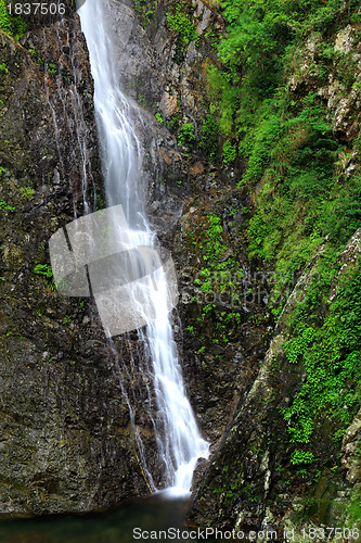 Image of waterfall in forest