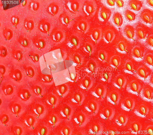 Image of macro of strawberry texture
