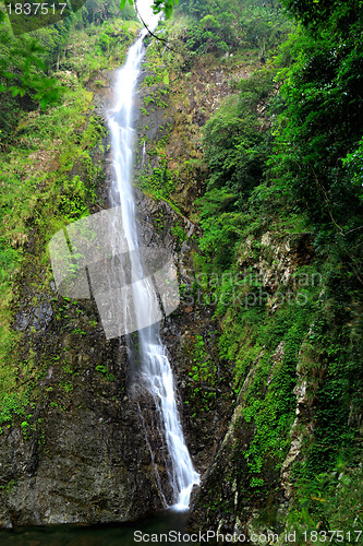 Image of forest Waterfall