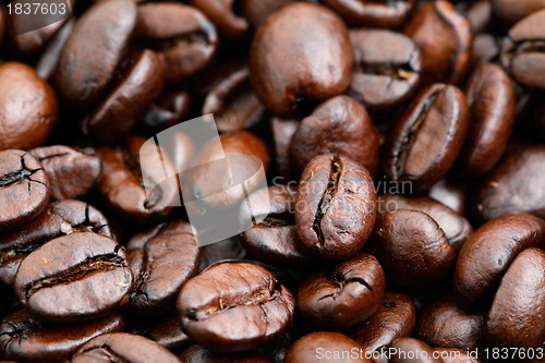 Image of coffee bean