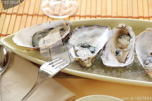 Image of Oysters Natural