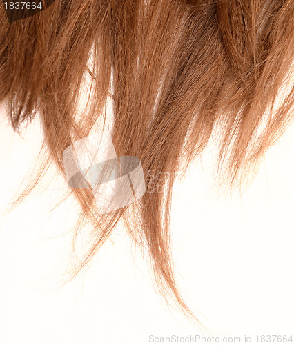 Image of woman hair