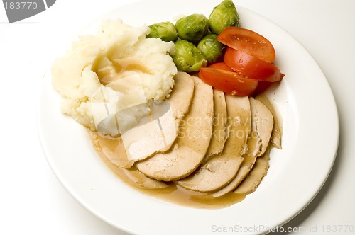 Image of turkey dinner