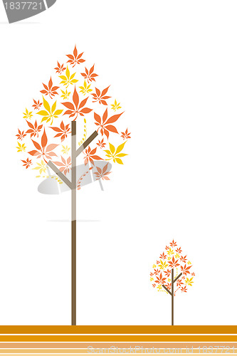 Image of Autum tree