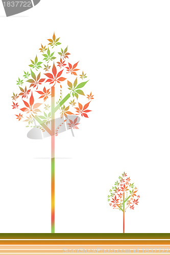 Image of Autum tree