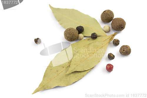 Image of spices