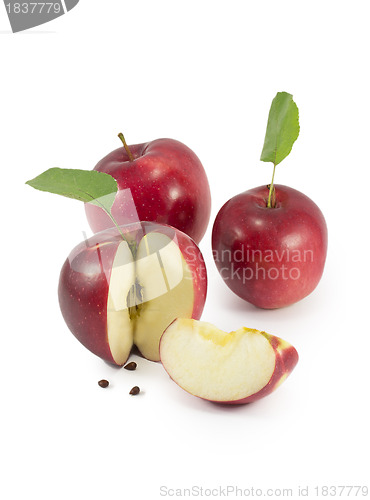 Image of apple slices