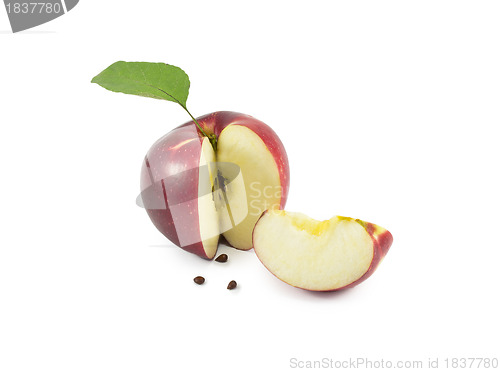 Image of apple slices