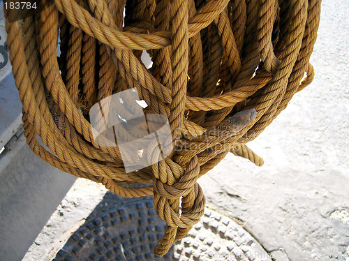 Image of rope