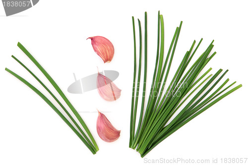 Image of Garlic and Chives