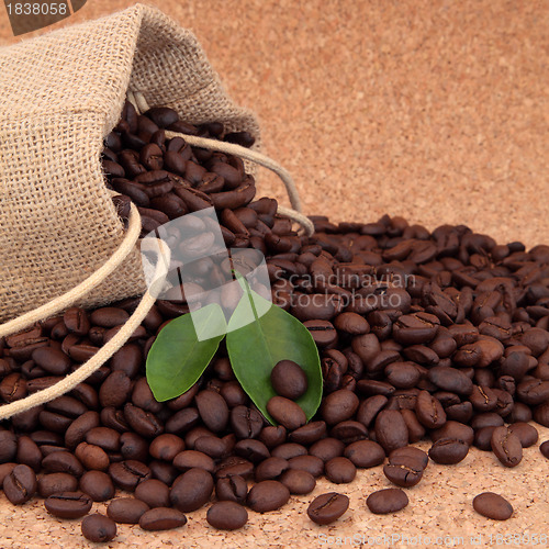 Image of Coffee Beans