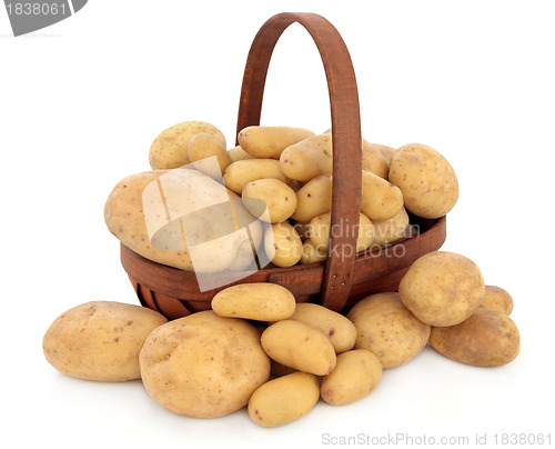 Image of Potato Types