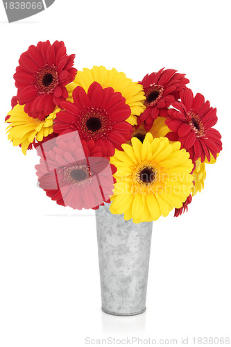 Image of Gerbera Flowers