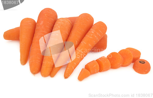 Image of Carrots