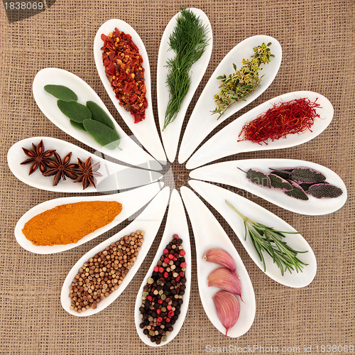 Image of Spice and Herb Selection