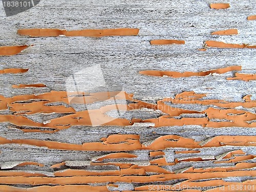 Image of Wooden texture with cracked and peeling paint