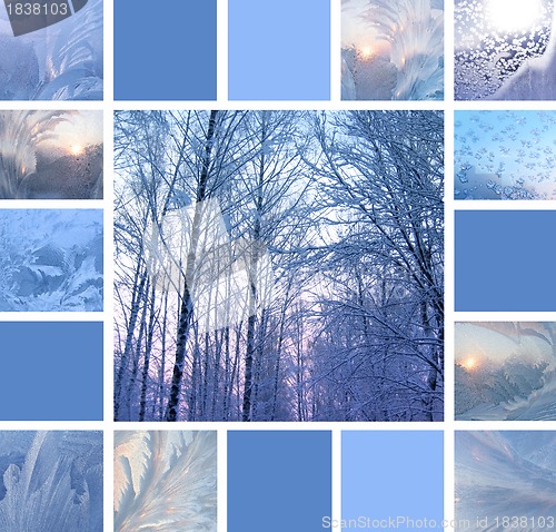 Image of Winter collage