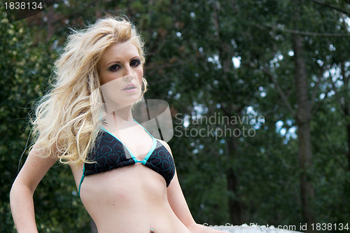 Image of Beautiful blond womand in bikini - copyspace