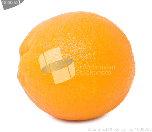 Image of Orange