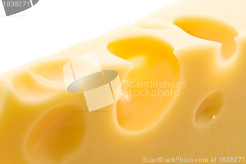 Image of Cheese