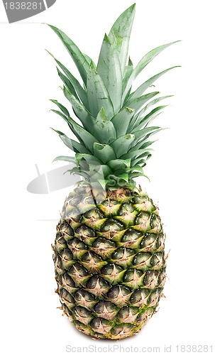Image of Pineapple