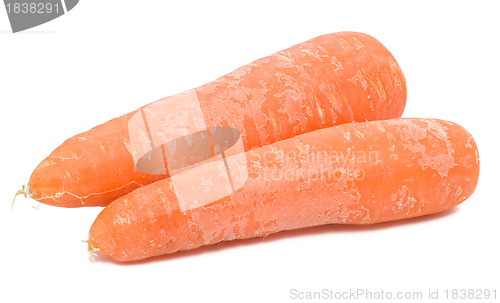 Image of Carrots