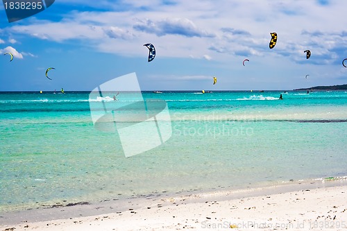 Image of Kite surfers