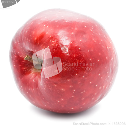 Image of Apple