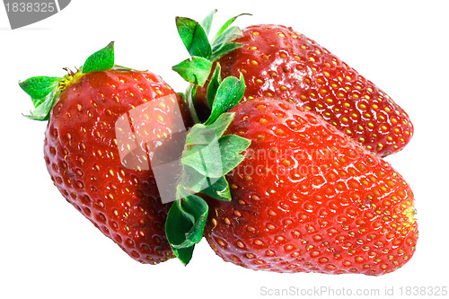 Image of Strawberry