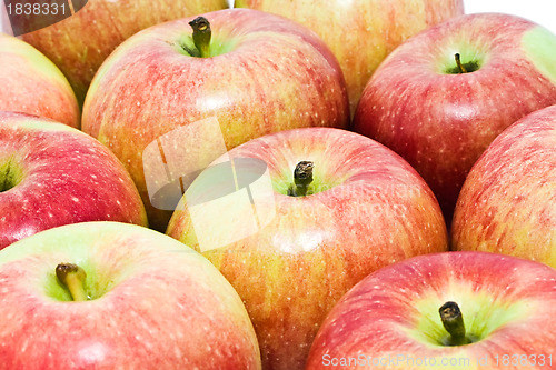 Image of Apples