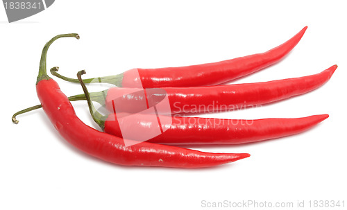 Image of Chili pepper