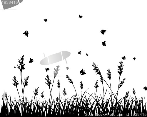Image of meadow silhouettes