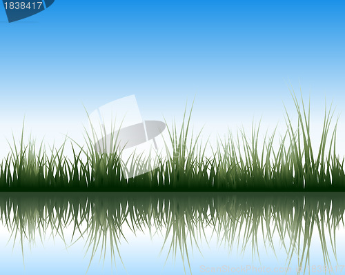 Image of meadow with reflection